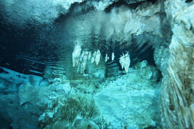  Cenotes of Tulum 